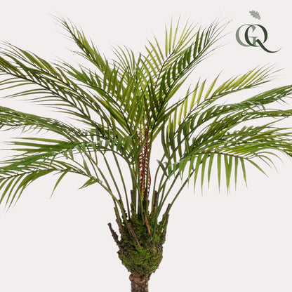 Kunstplant - Chamaedorea Bergpalm - Hoogte ↕ 85cm
