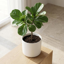 Pot - B.for Soft Wit - Ø 25cm