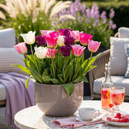 Buitenplant - Tulp Pastel mix - Bloeiend - 12 bollen Bolmaat 11/12