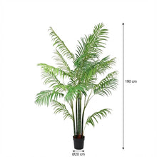 XL Kunstplant - Areca Palm - Hoogte ↕ 190cm