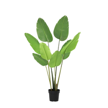 XL Kunstplant - Strelitzia Nicolai - Hoogte ↕ 155cm