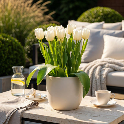 Bloembollen 15x Tulp Triumph White - Wit - Bolmaat 11/12