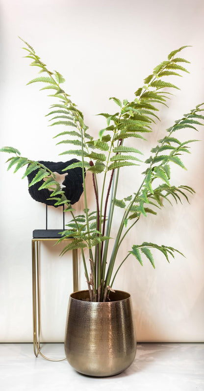 Kunstplant XL - Rumohra Adiantiformis Ledervaren - Hoogte ↕ 180cm