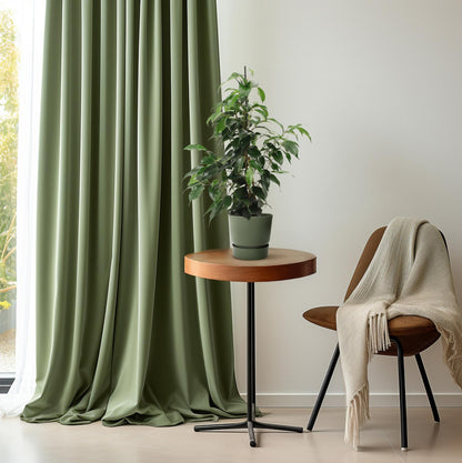 Kamerplant - Ficus Benjamina Danielle - Pot Ø 14cm Hoogte ↕ 55cm