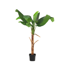 Kunstplant - Bananenplant Musa - Hoogte ↕ 150cm
