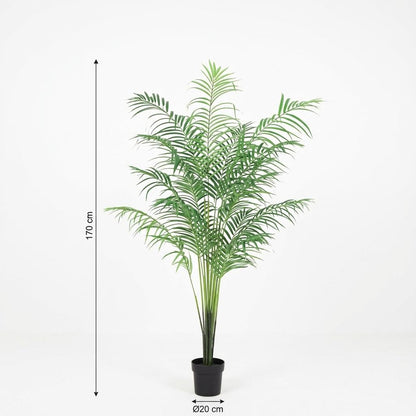 XL Kunstplant - Kentia Palm - Hoogte ↕ 170cm