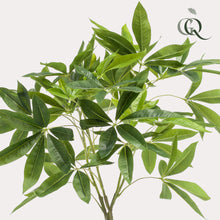 Kunstplant - Pachira aquatica Geldboom - Hoogte ↕ 90cm