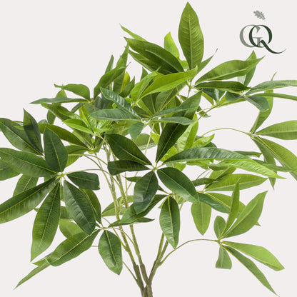 Kunstplant - Pachira aquatica Geldboom - Hoogte ↕ 90cm