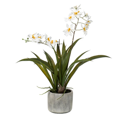 Kunstplant - Orchidee Wit - Hoogte 45cm