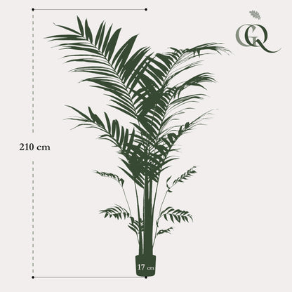 XL Kunstplant - Kentia Kentiapalm - Hoogte ↕ 210cm