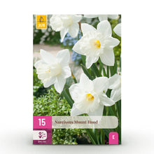 Buitenplant 15x Narcis Mount Hood - Bloeiend - Bolmaat 10/12