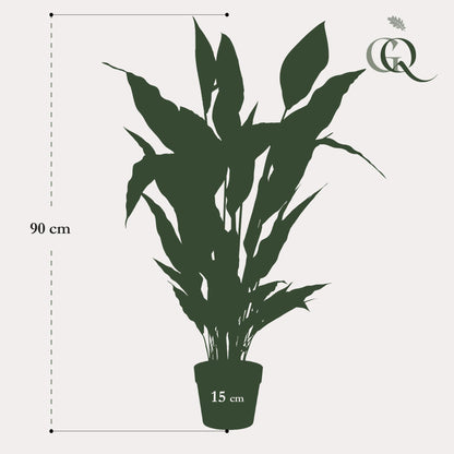 Kunstplant - Spathiphyllum - Lepelplant - Hoogte ↕ 90cm