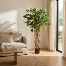 XL Kunstplant - Ficus Liana Kunstboom - Hoogte ↕ 140cm