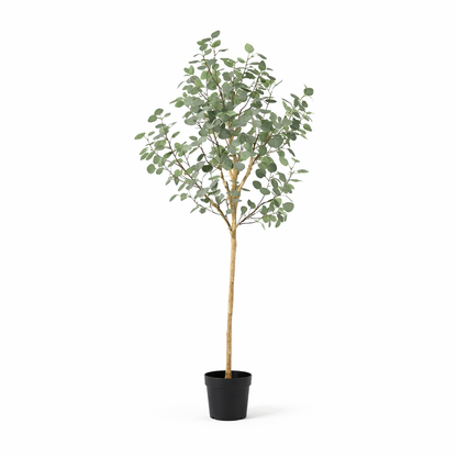 Kunstplant - Eucalyptus - Hoogte ↕ 180cm