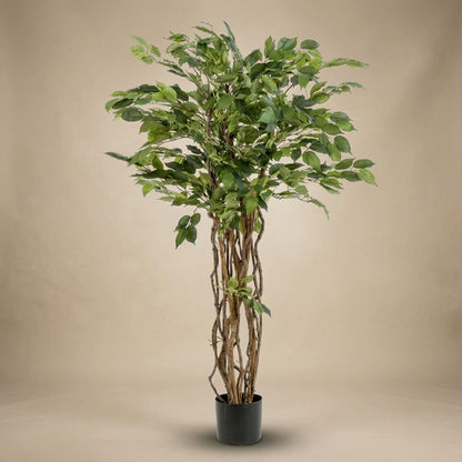 XL Kunstplant - Ficus Liana Kunstboom - Hoogte ↕ 140cm