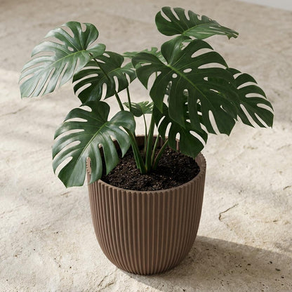 Sierpot - Nature Groove Warm Taupe - Ø 17cm