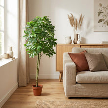 XL Kunstplant - Pachira Aquatica - Hoogte ↕ 150cm