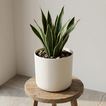 Sierpot - Elho B.for Soft White - Ø 16cm