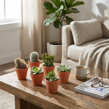 Kamerplant 18x Mini Cactus & Succulenten Mix - Terracotta Potten - Pot Ø 8,1cm Hoogte ↕ 5-10cm