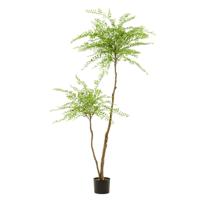 XL Kunstplant - Sophora Honingboom - Hoogte ↕ 190cm