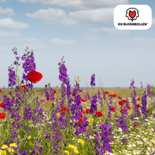 Wilde Bloemenzaad Mengsel - 100 gram - voor Bijen en Vlinders