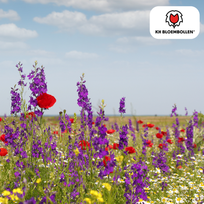 Wilde Bloemenzaad Mengsel - 100 gram - voor Bijen en Vlinders