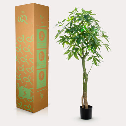 Kunstplant - Pachira Aquatica Geldboom - Hoogte ↕ 150cm