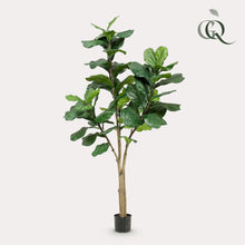 XL Kunstplant - Ficus Lyrata - 180cm