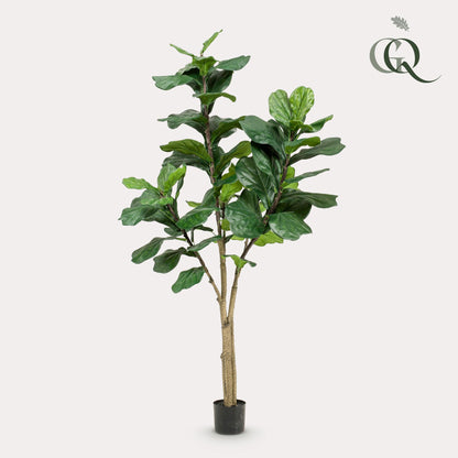 XL Kunstplant - Ficus Lyrata - 180cm
