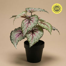 Kunstplant - Begonia - Pot Ø inbegrepen Hoogte ↕ 26cm