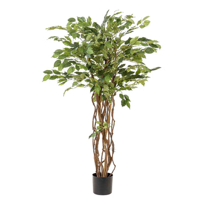 Kunstplant - Ficus liana Vioolbladplant - Hoogte ↕ 140cm