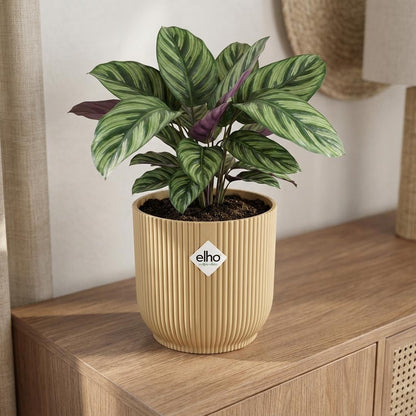 Sierpot - Vibes Fold 22cm - Geel