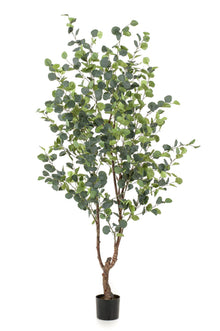 XL Kunstplant - Eucalyptus Blauwe Gomboom - Hoogte ↕ 180cm