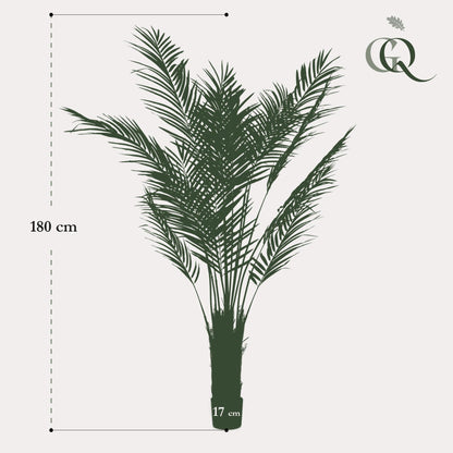 Kunstplant XL - Areca Lutescens Goudpalm - Hoogte ↕ 180cm