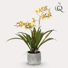 Kunstplant - Orchidee Geel - 45cm