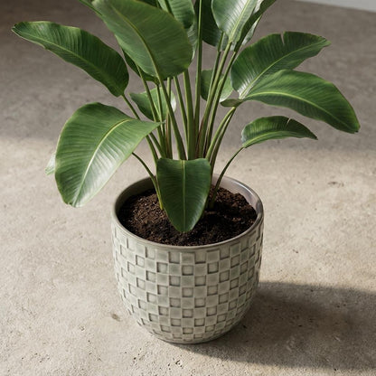 Sierpot - Mini Pot Relief Wit - Ø 7cm