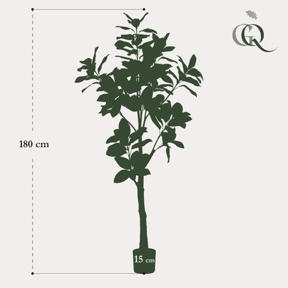 Kunstplant - Magnolia Grandiflora - Hoogte ↕ 180cm