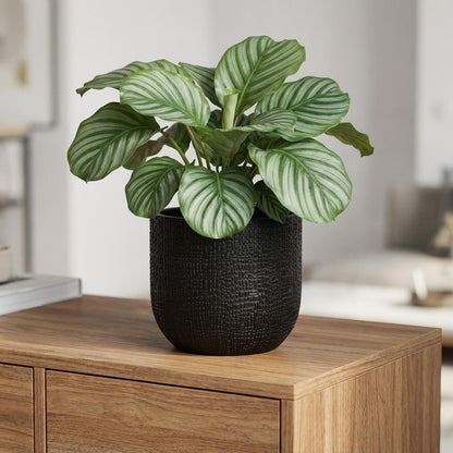 Sierpot - Nature Skin Pot Bol Antraciet - Ø 14cm x H 13cm