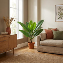 Kunstplant - Philodendron Jungle King - Hoogte ↕ 45cm