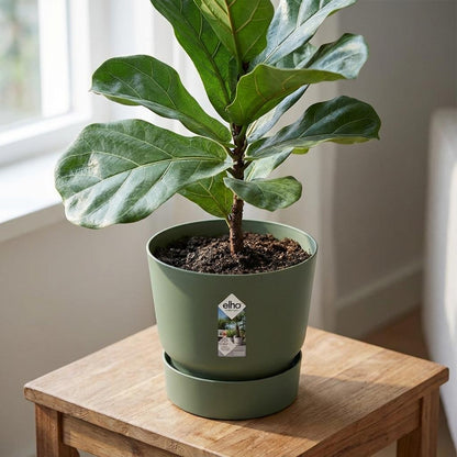 Sierpot - Greenville Round Leaf - Ø 30cm - Groen