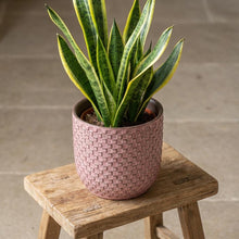 Pot - Pot Relief Roze - Ø 13.5cm