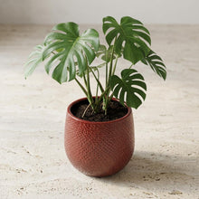 Pot Gabriel Rond Bordeaux - Ø 14cm