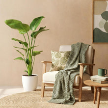 XL Kamerplant - Strelitzia Nicolai - Pot Ø 21cm Hoogte ↕ 110-120cm