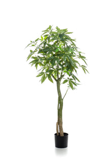 Kunstplant - Pachira Aquatica Geldboom - Hoogte ↕ 150cm