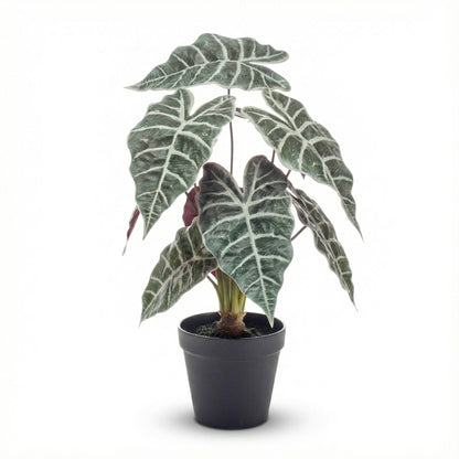 Kunstplant - Alocasia bush in pot - Hoogte ↕ 40cm