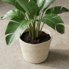 Sierpot - Mand Selin - Ø26cm Hoogte ↕ 23cm