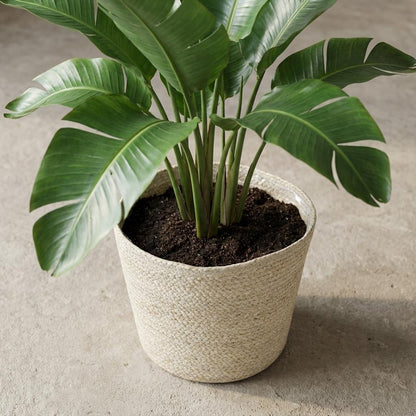 Sierpot - Mand Selin - Ø26cm Hoogte ↕ 23cm