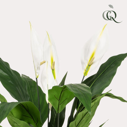 Kunstplant - Spathiphyllum - Lepelplant - Hoogte ↕ 90cm