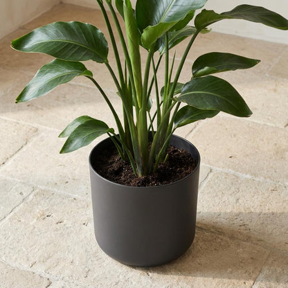 Sierpot - B.for Soft Antraciet - Pot Ø 22cm