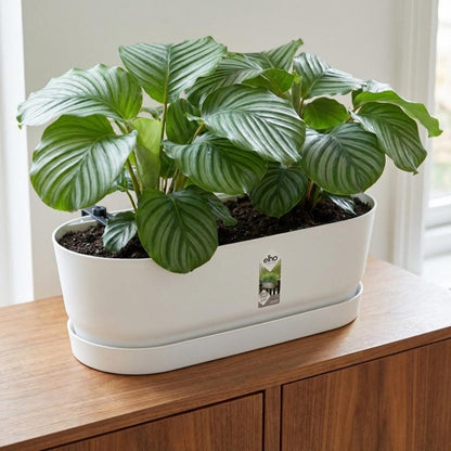 Pot - Greenville Easy Balcony - Wit - Ø 25cm